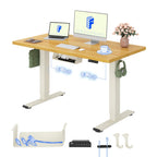FLEXISPOT Höhenverstellbarer Schreibtisch elektrisch, Doppelmotor 160x80 cm